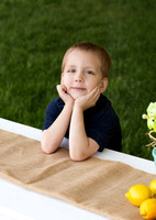 Toddler boy's lemonade stand themed photo by Pueblo photography company K.D. Elise Photography