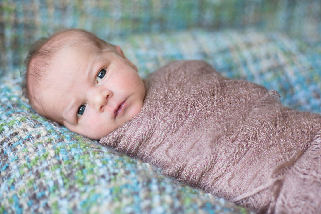 Pueblo Newborn Photographer K.D. Elise Photography's image of ten day old baby boy